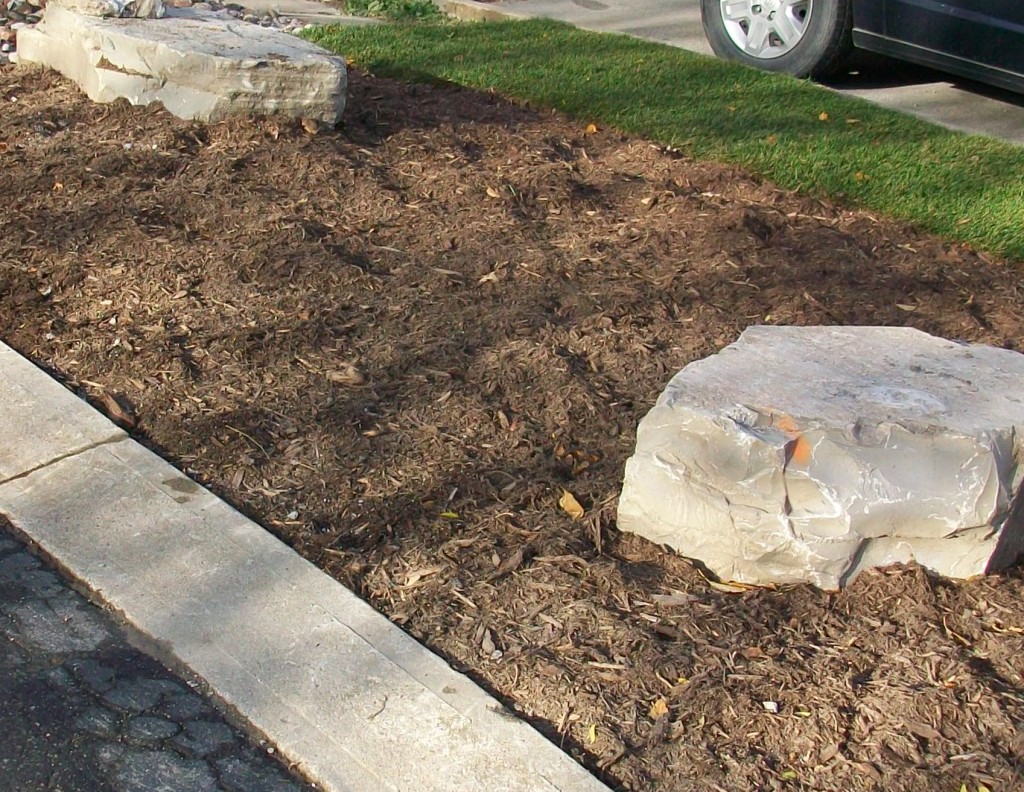 Mulch & Garden Soil Installation » Tropical Touch Landscaping