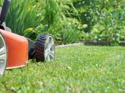 Lawn mower on a lawn in the garden / gardening