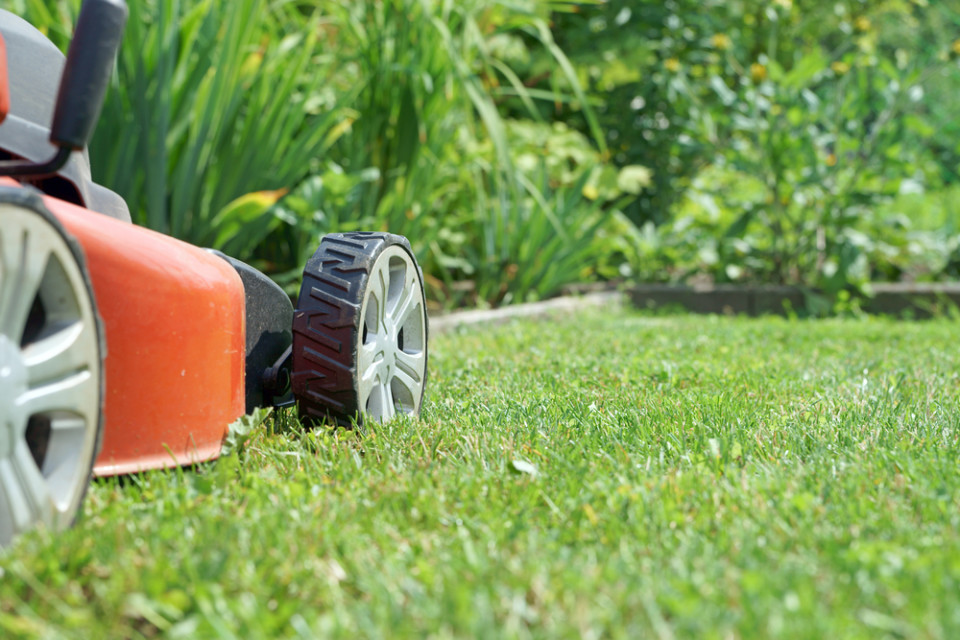 Lawn mower on a lawn in the garden / gardening